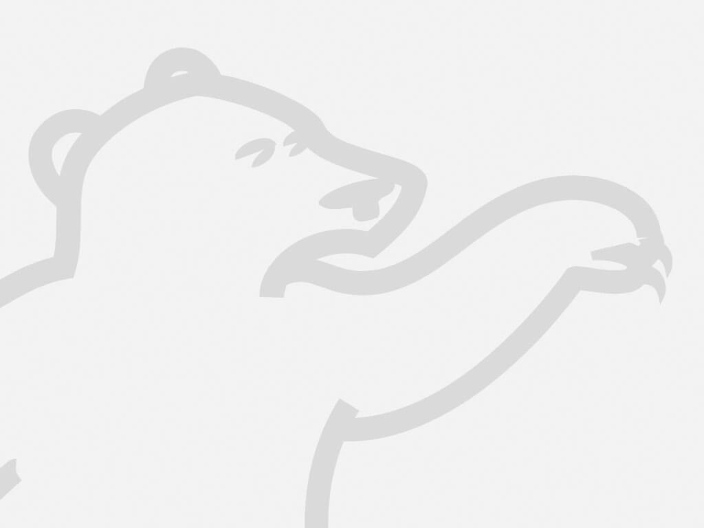 Jännitteenkoettimet ja mittarit BizLine